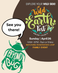 Beyond the Bug at Wild Earth Fest 2026