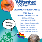 Beyond the Binaries at The Watershed Institute June 27 2026