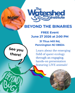 Beyond the Binaries at The Watershed Institute June 27 2026